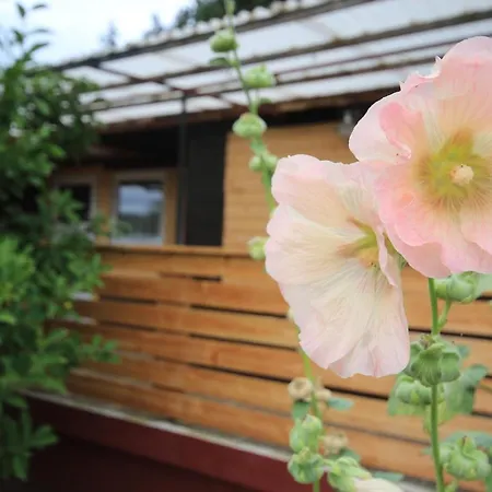 Σπίτι διακοπών Am Wald *